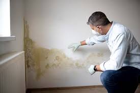 Best HVAC Mold Inspection and Cleaning  in Juneau, AK